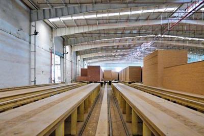 建豐新材料 建一座工廠，護(hù)一方山林，富一方百姓
